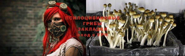 дмт Бронницы