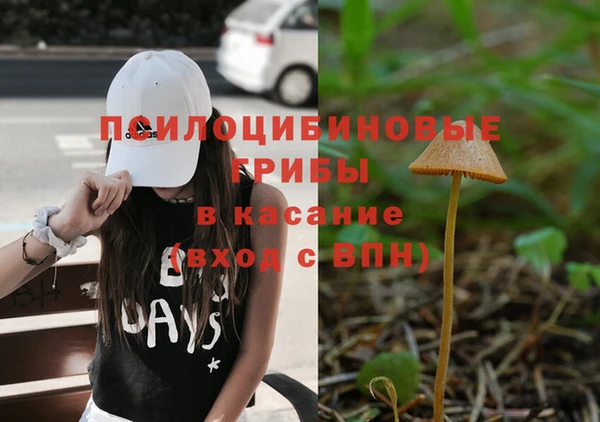 бошки Бугульма