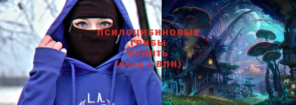 дмт Бронницы